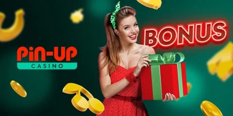 Pin Up Gambling Enterprise Review